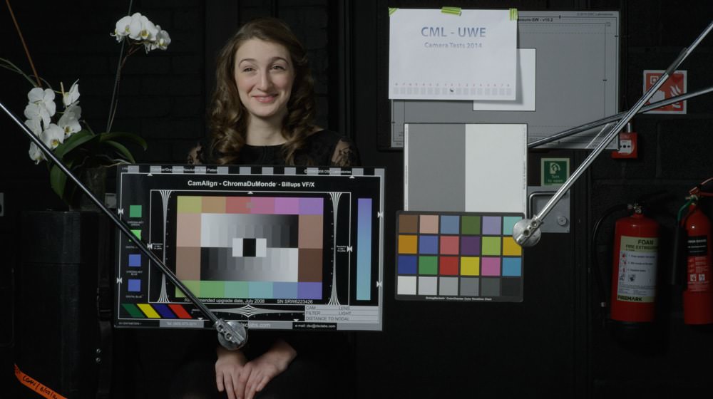 Converted to standard (Rec.709-like)